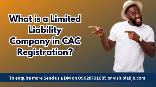 What is a Limited Liability Company in CAC Registration?